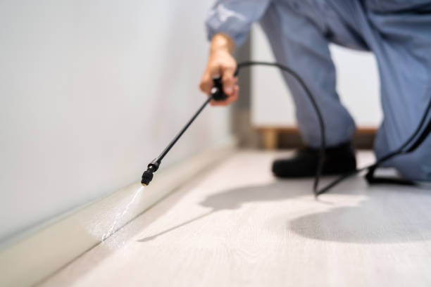 Bed Bug Pre-Treatment Preparation Assessment in Whitney