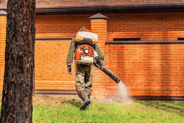 Bed Bug Clearance Verification and Documentation in Whitney